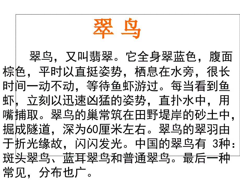 翠鸟课件.ppt_第2页