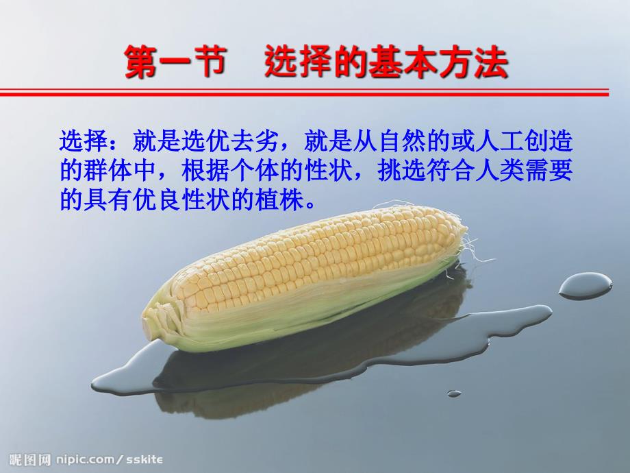 选择的基本方法_第1页