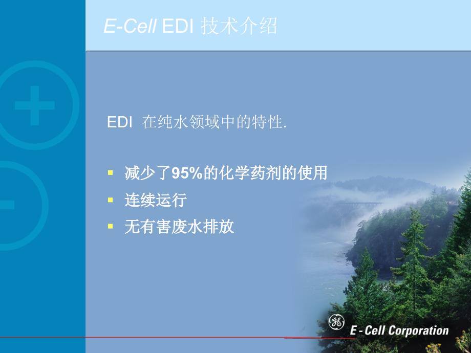 E-Cell-EDI-技术介绍_第4页