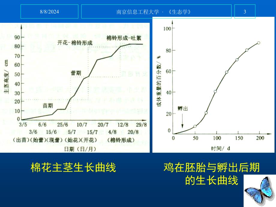 种群生活史生态学.ppt_第3页