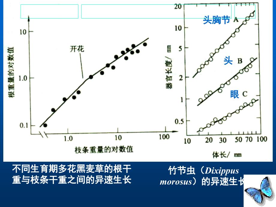 种群生活史生态学.ppt_第4页