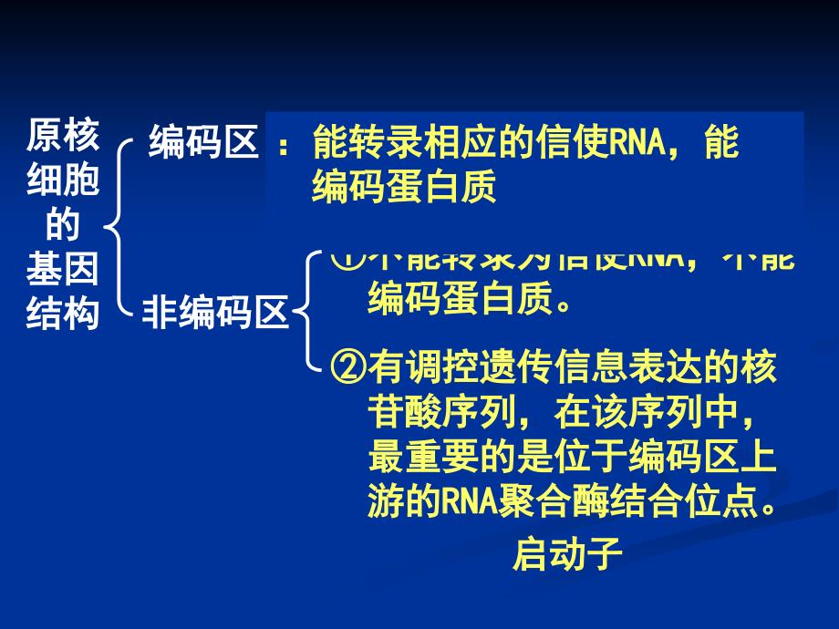 12基因工程的基本操作程序_第3页