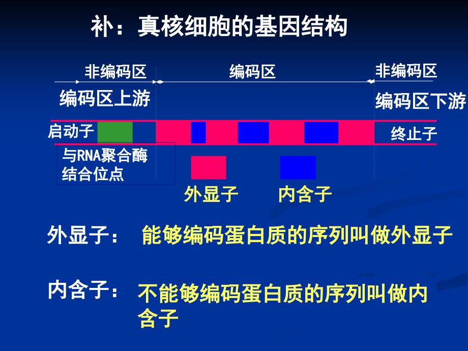 12基因工程的基本操作程序_第4页