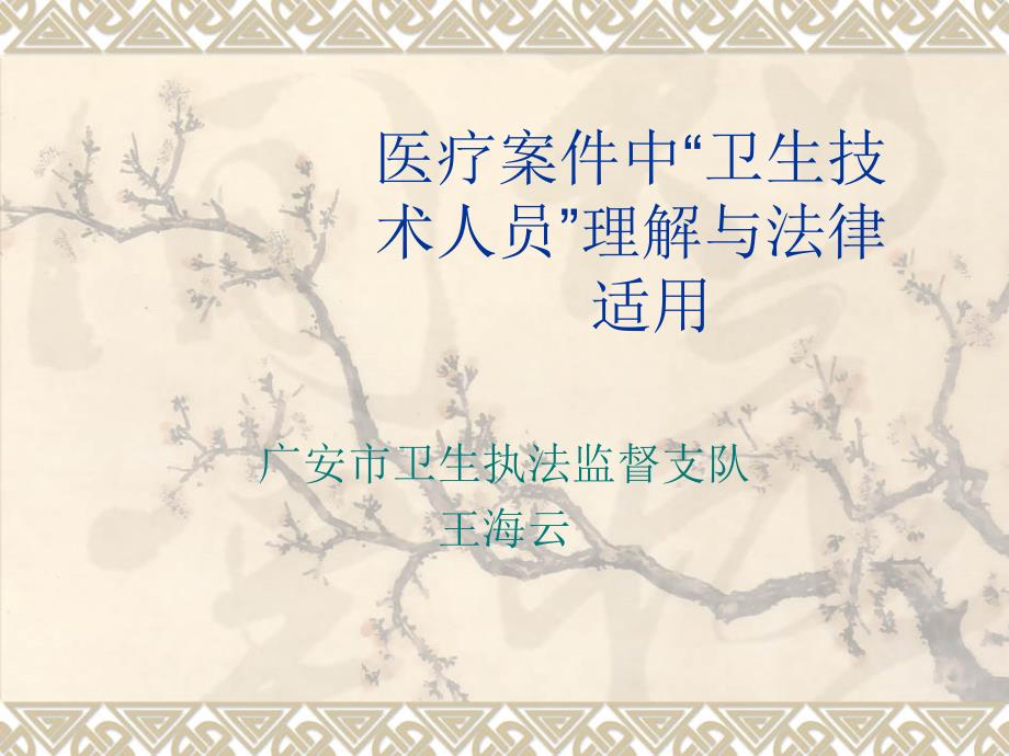 《医疗市场执法》PPT课件.ppt_第1页