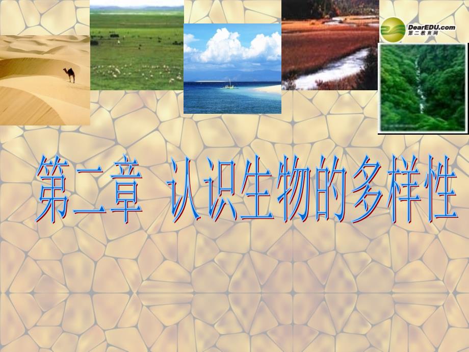 内蒙古鄂尔多斯市康巴什新区第二中学八年级生物上册认识生物多样性新人教版课件_第1页