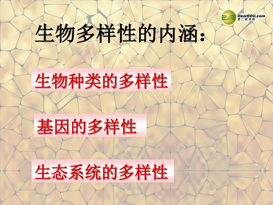 内蒙古鄂尔多斯市康巴什新区第二中学八年级生物上册认识生物多样性新人教版课件_第2页