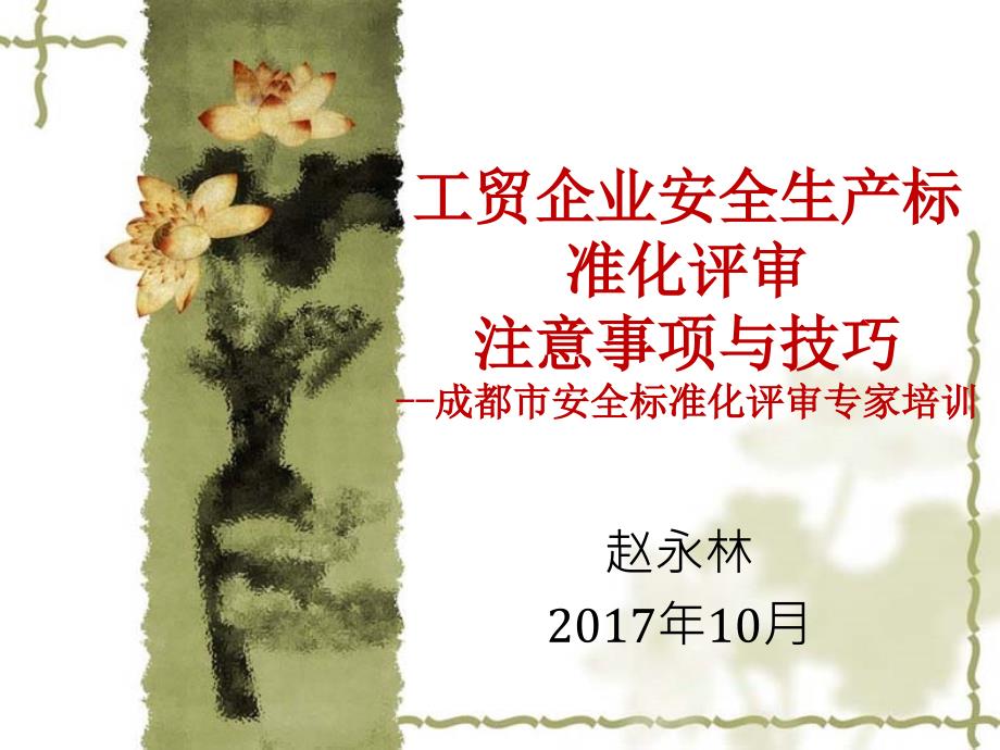 工贸企业安全生产标准化评审注意事项与技巧.ppt_第1页