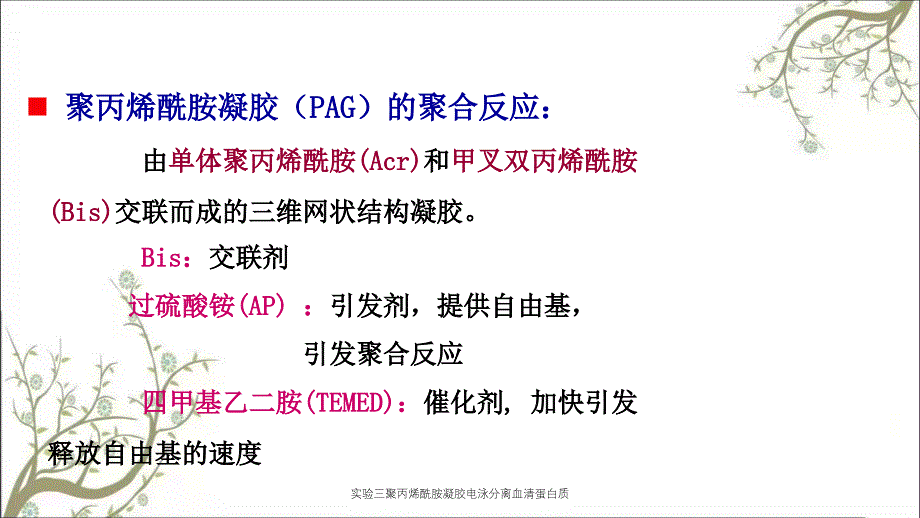 实验三聚丙烯酰胺凝胶电泳分离血清蛋白质_第4页