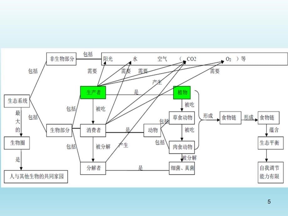 初二生物复习思维导图ppt课件_第5页