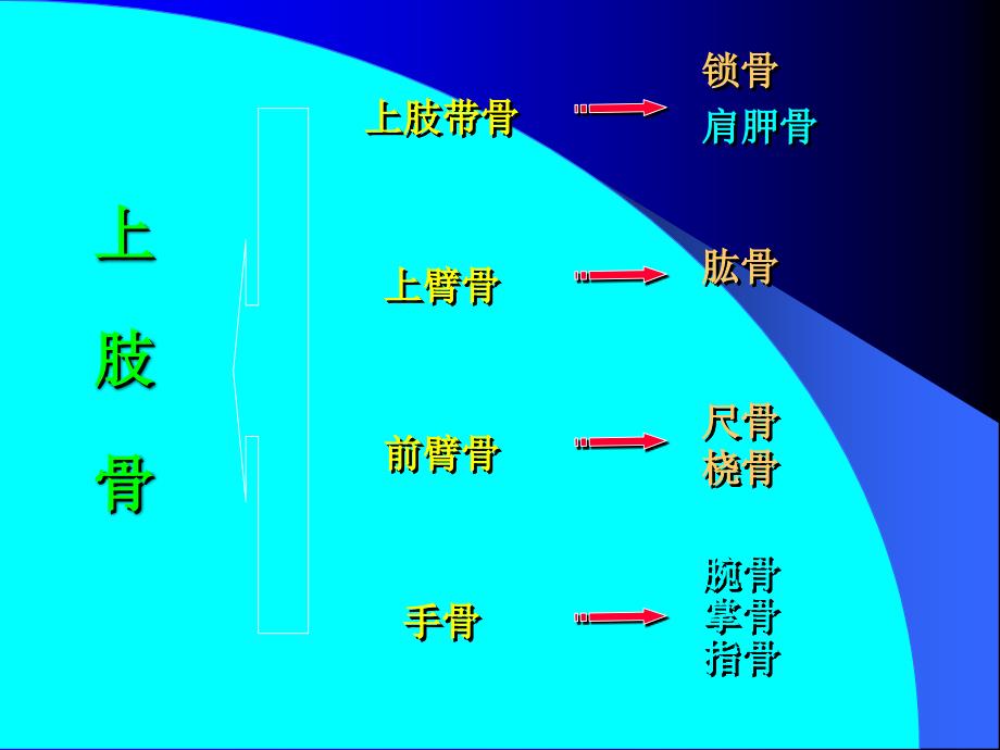 外科学教学课件：10上肢骨折 (1)_第2页