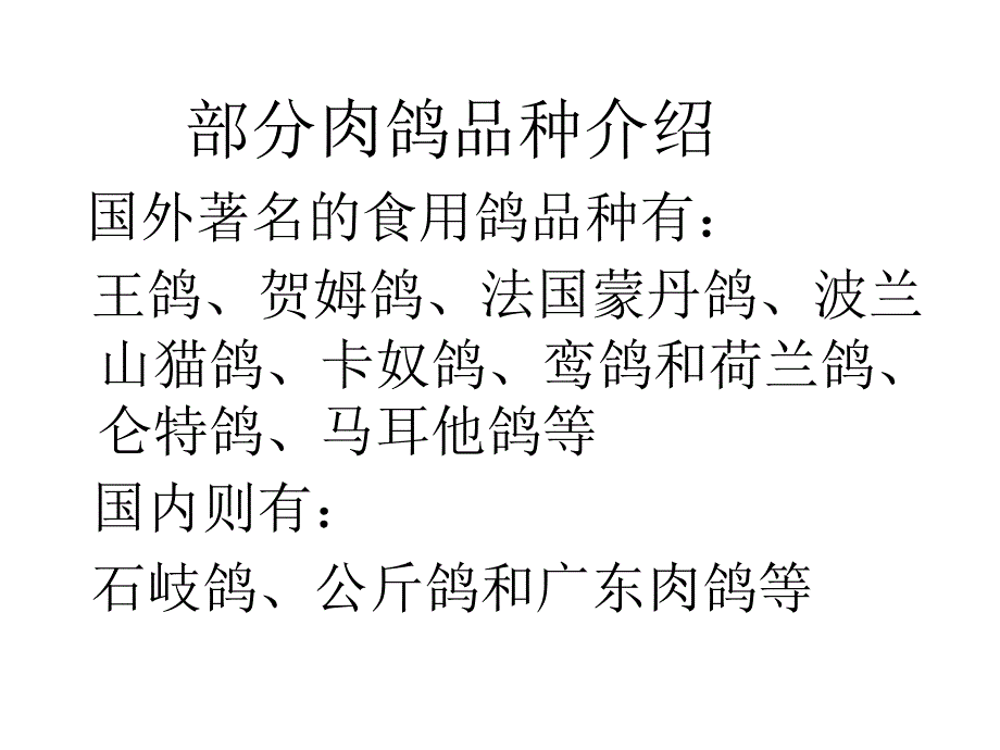 《部分肉鸽品种》PPT课件_第1页