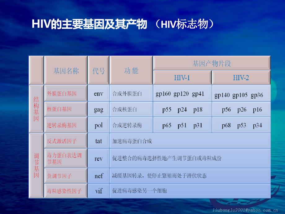 艾滋病实验室检测规范要求及方法选择与质量控制_第4页