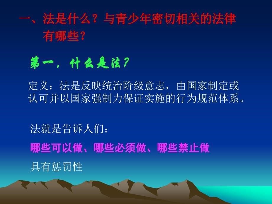 学习法律知识做遵纪守法的优秀少年_第5页