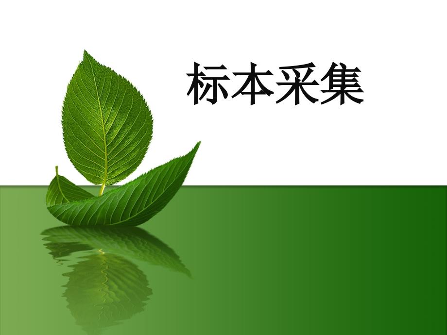 临床标本的规范采集_第1页