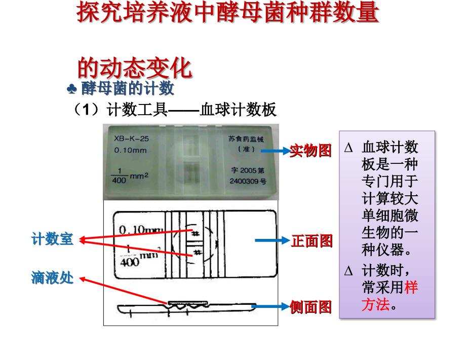 《探究酵母菌种群数量变化》课件_第3页