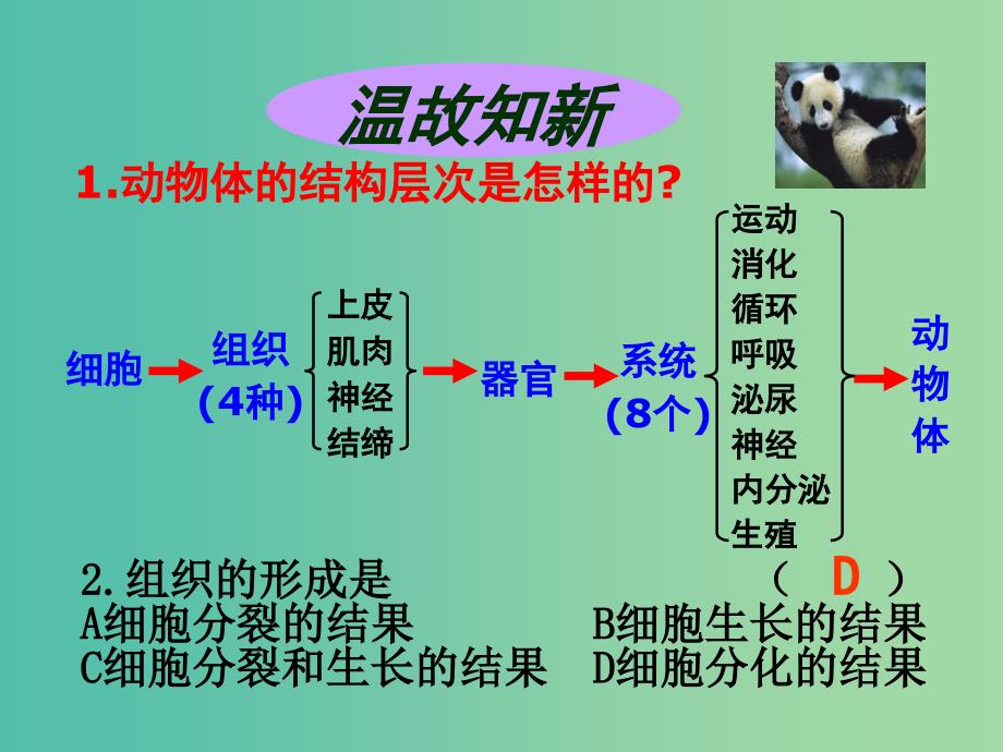 七年级生物上册 2.2.3 植物体的结构层次课件 （新版）新人教版.ppt_第2页