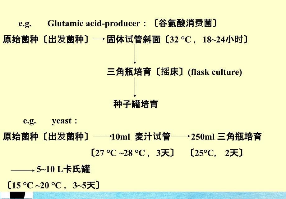 第四节种子扩大培养一种子扩大培养的任务工业生产规模的ppt课件_第5页