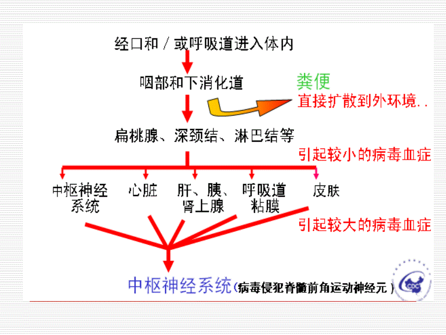 急性弛缓性麻痹AFP监测方案_第4页