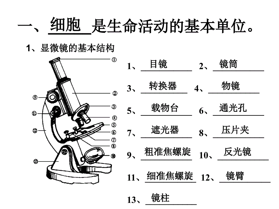 生物体的结构和层次_第2页