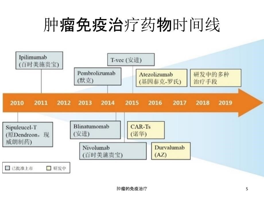 肿瘤的免疫治疗课件_第5页