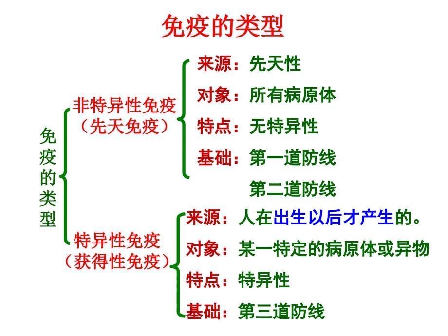 《免疫系统的组成》PPT课件_第5页