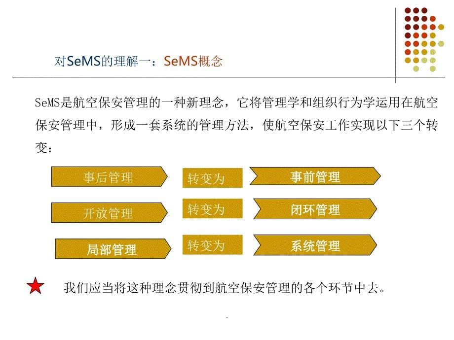 航空安保管理体系_第5页