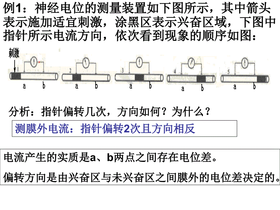 膜电位变化及其测量PPT课件_第2页