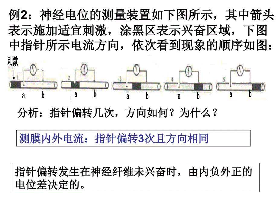 膜电位变化及其测量PPT课件_第3页