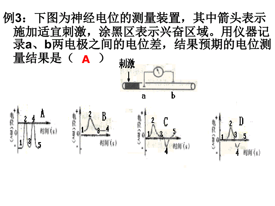 膜电位变化及其测量PPT课件_第4页