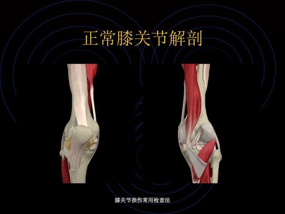 膝关节损伤常用检查法_第5页