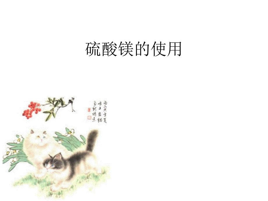 硫酸镁的使用1_第1页