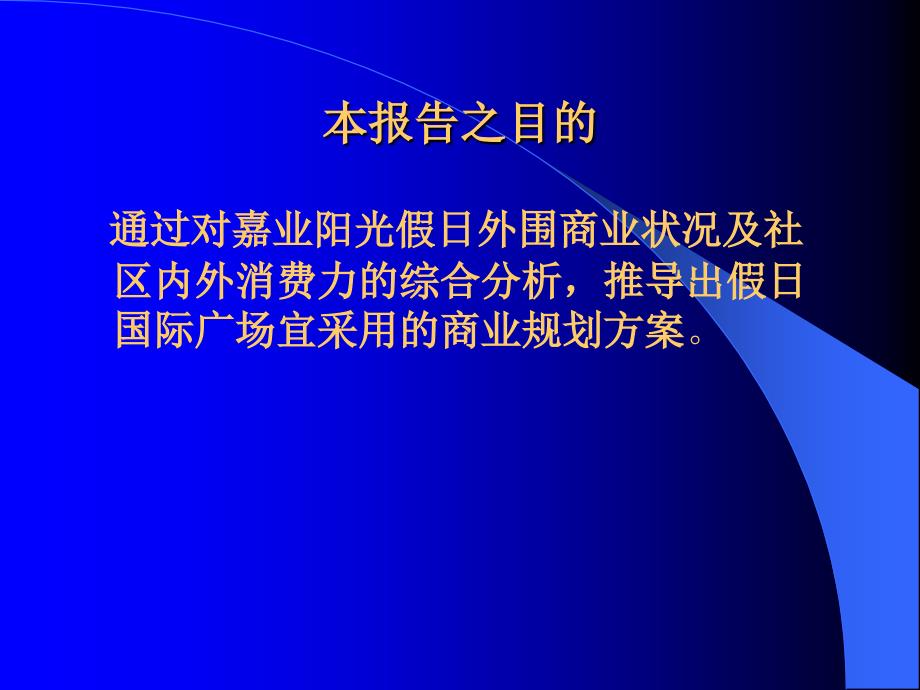 假日国际广场商业建议1_第2页