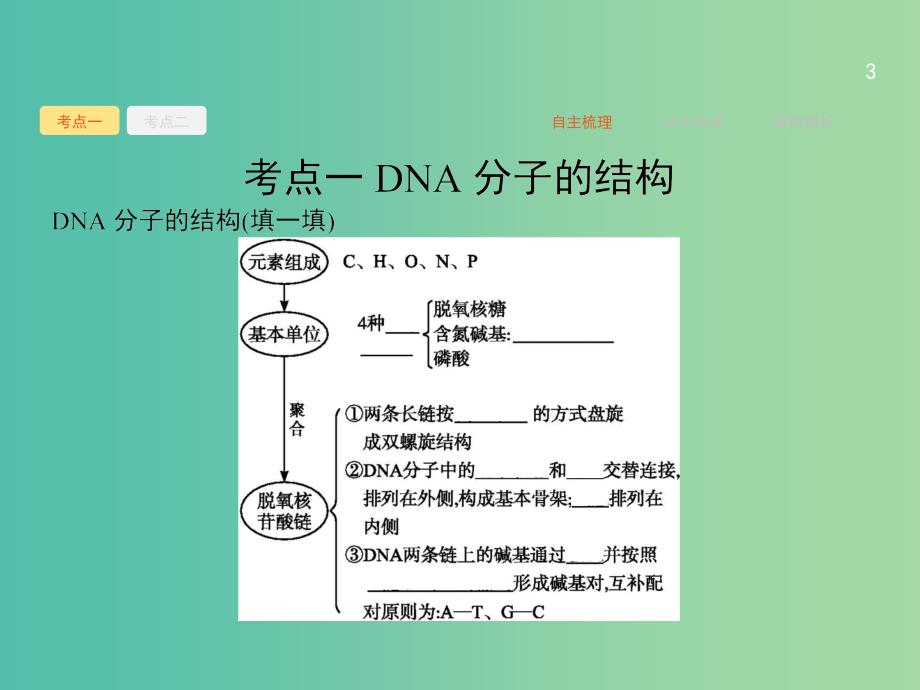 高三生物一轮复习 7.2DNA分子的结构和复制、基因是具有遗传效应的DNA片段课件.ppt_第3页