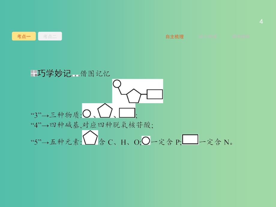 高三生物一轮复习 7.2DNA分子的结构和复制、基因是具有遗传效应的DNA片段课件.ppt_第4页