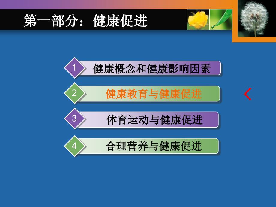 健康教育与健康促进课件.ppt_第2页