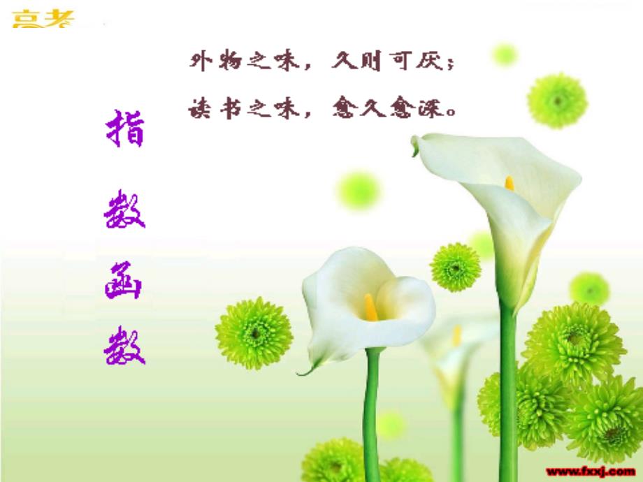 数学：3.3.1《指数函数》课件（北师大版必修1）_第4页