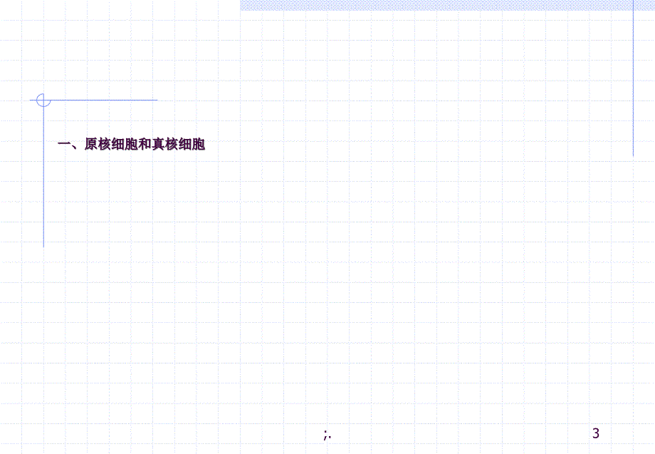 细胞的多样性和统一性3ppt课件_第3页