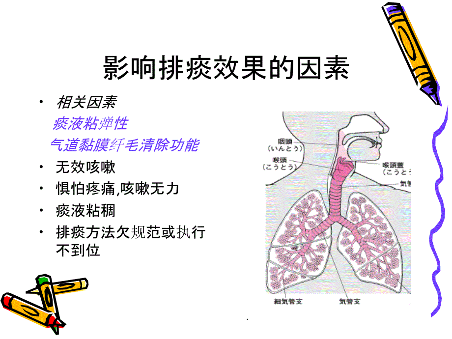 促进有效排痰_第3页