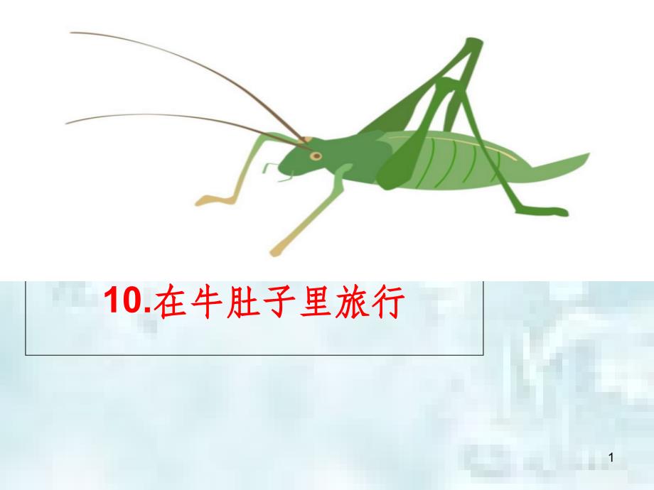 三年级语文上册第三单元10在牛肚子里旅行优质课件2新人教版_第1页