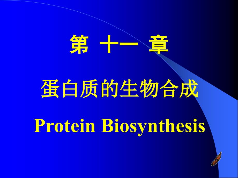 蛋白质的生物合成 课件_第1页