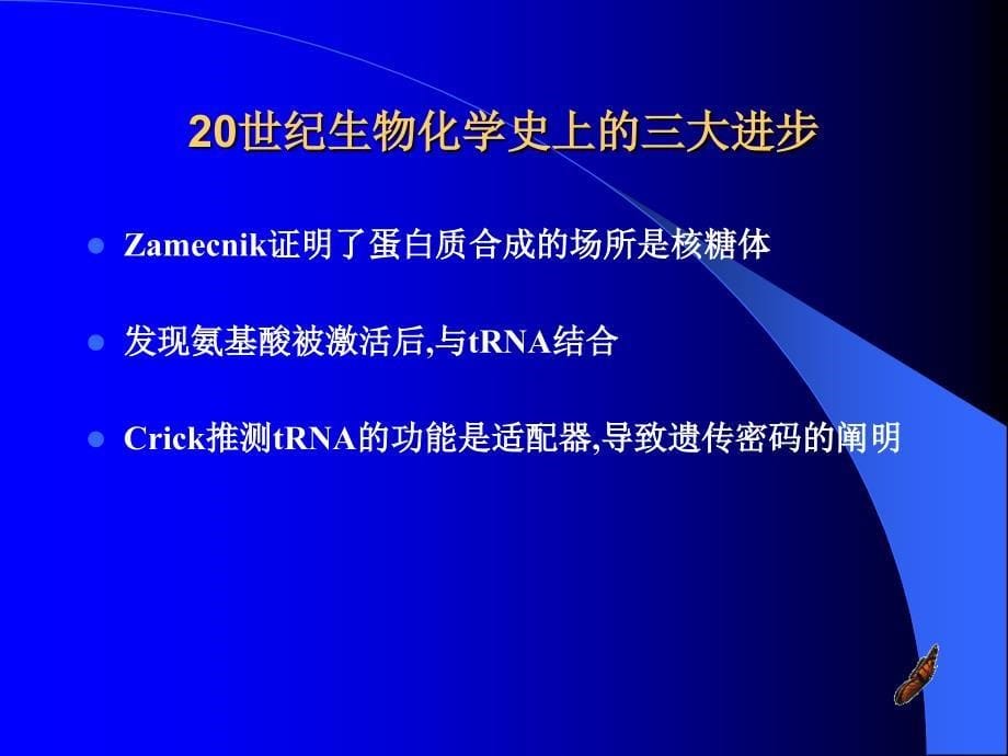 蛋白质的生物合成 课件_第5页