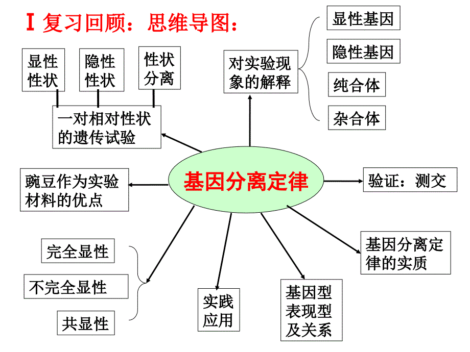 基因分离定律复习公开课_第2页