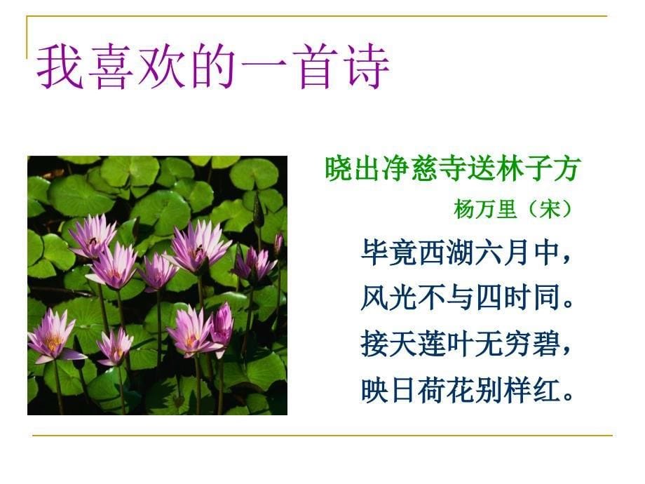 走进PowerPoint课件解析_第5页