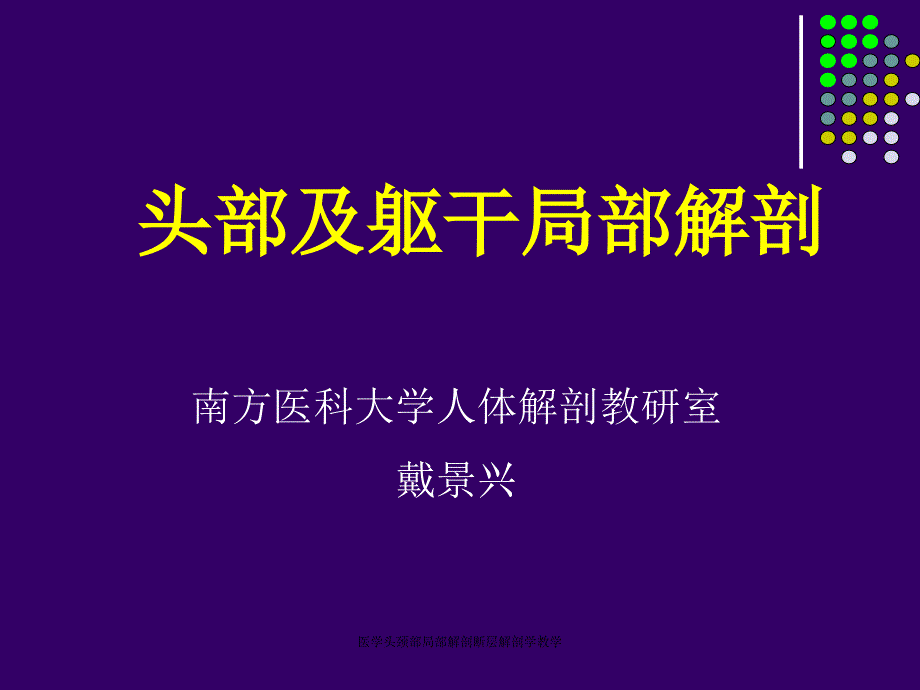 医学头颈部局部解剖断层解剖学教学课件_第1页