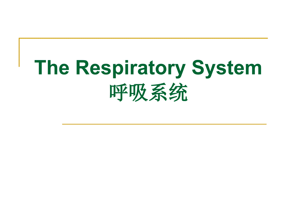 系统解剖学：The Respiratory System呼吸系统_第1页