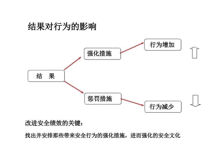 安全行为观察PPT课件_第5页