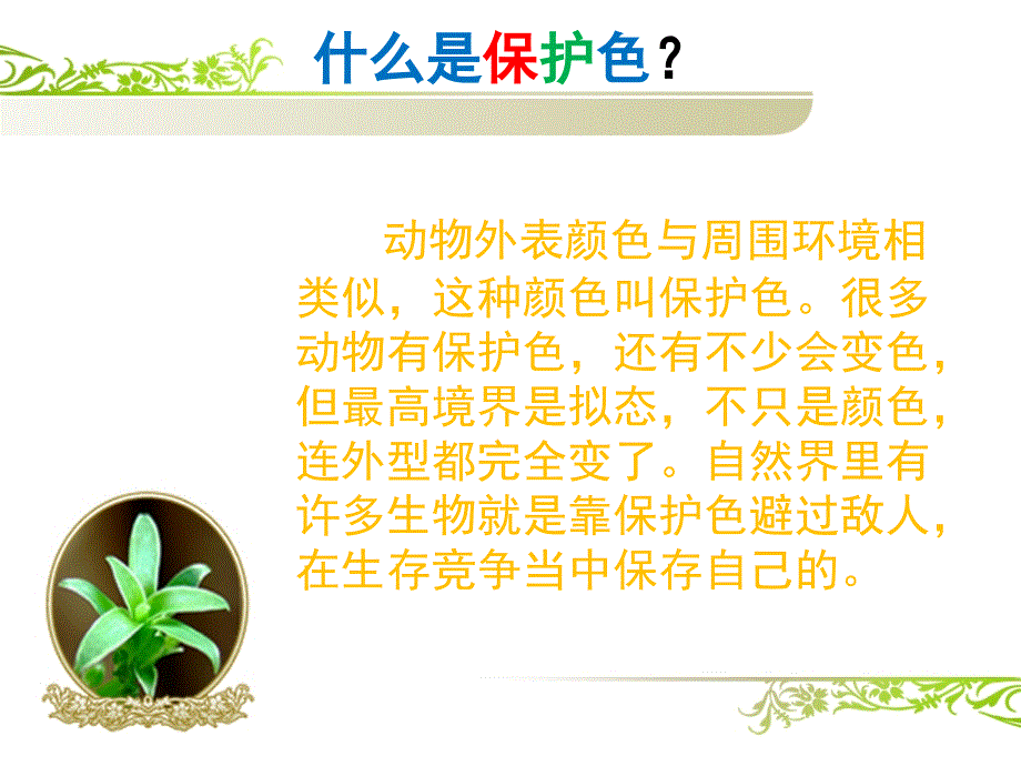 动物的保护色_第2页