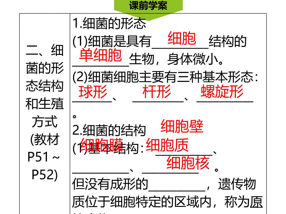 第1课时细菌的形态结构_第4页