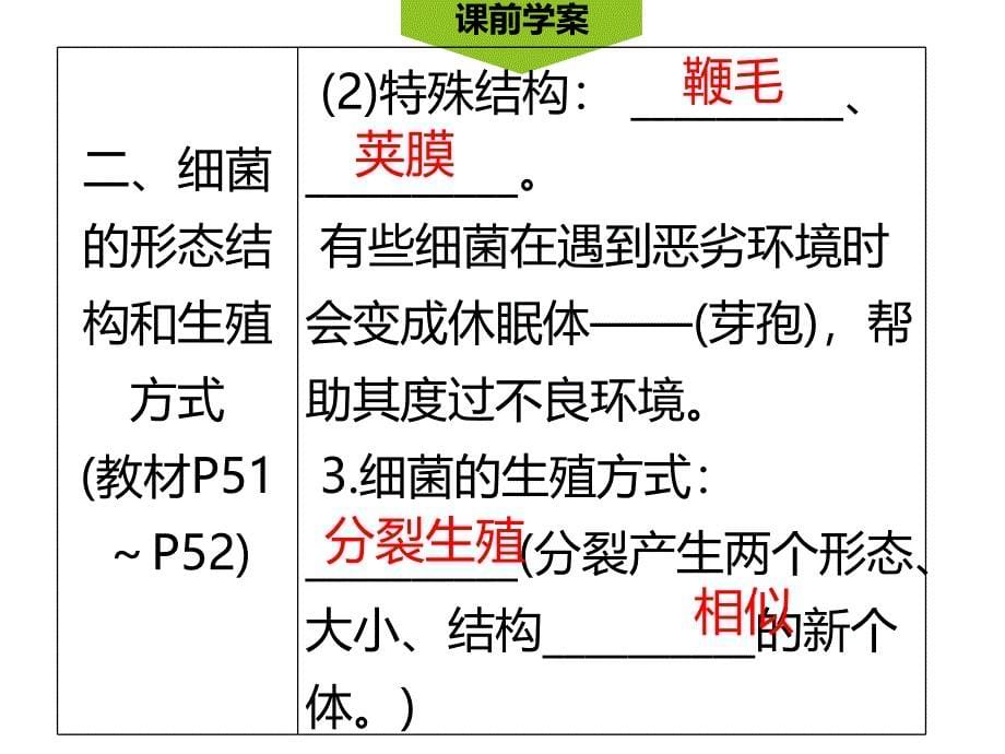 第1课时细菌的形态结构_第5页