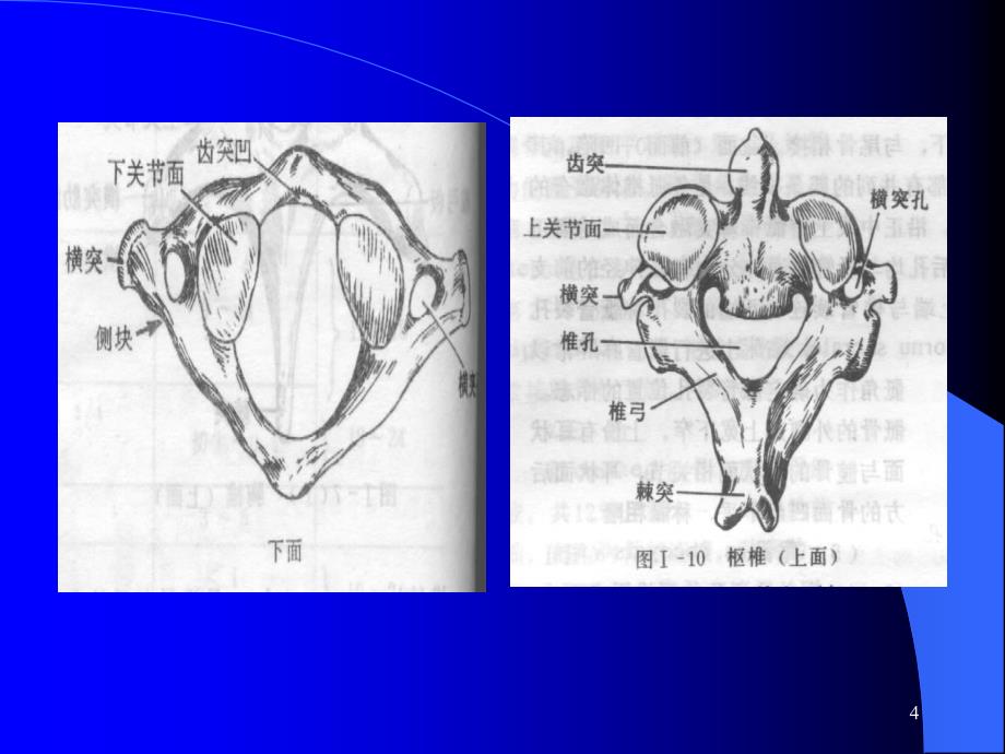 颈椎病的康复和预防保健ppt课件1_第4页